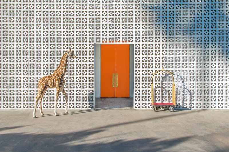 gray malin - giraffe